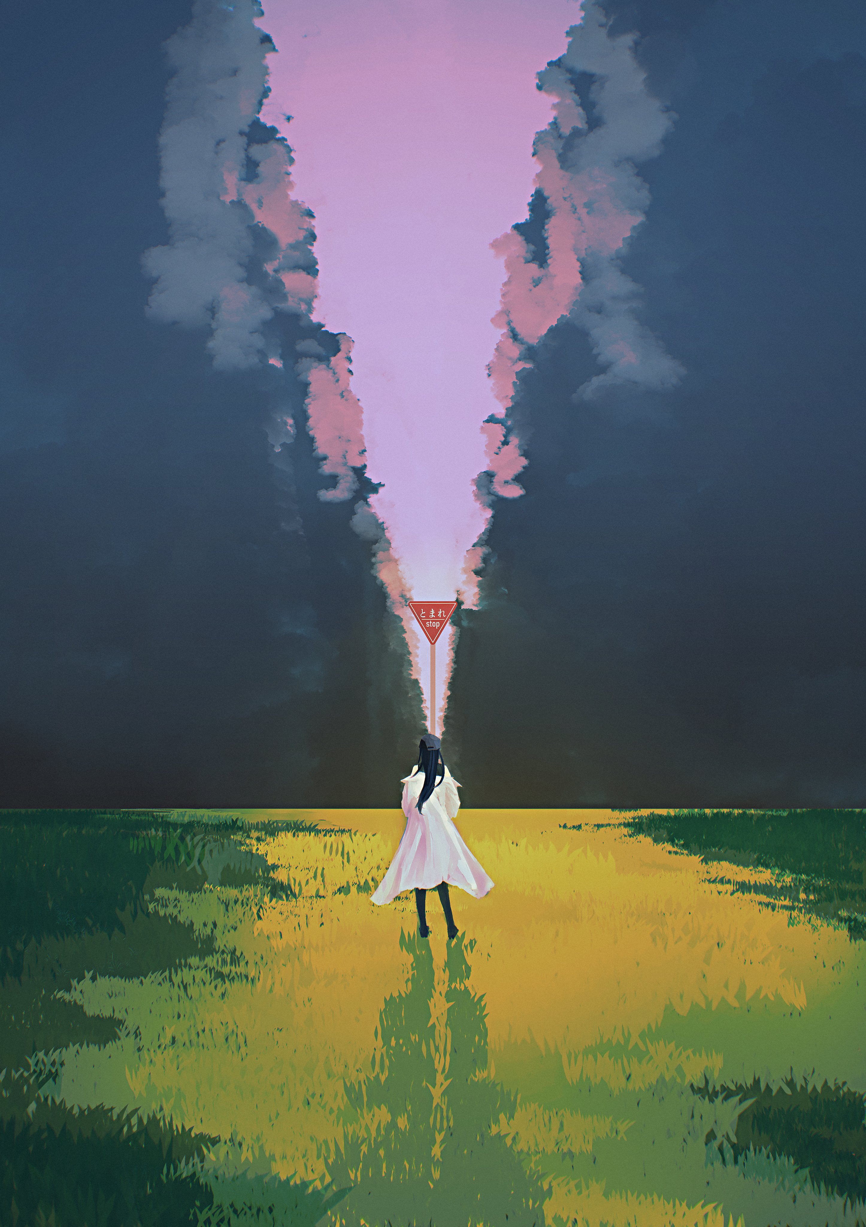 kani etizen03, saori (blue archive), blue archive, absurdres, commentary, highres, 1girl, baseball cap, black hair, black hat, cloud, cloudy sky, coat, dark cloud, from behind, grass, hat, long hair, outdoors, purple sky, road sign, scenery, sign, sky, solo, stop sign, white coat