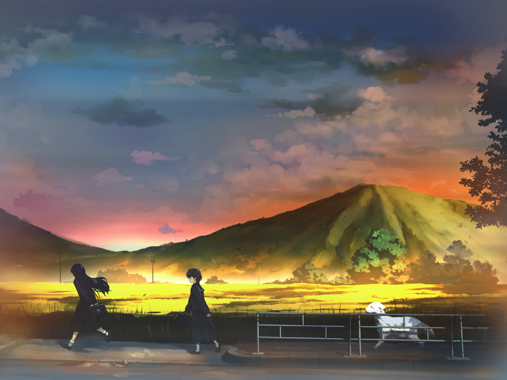 hirokiku, original, bad id, bad pixiv id, bag, black hair, dog, long hair, long skirt, mountain, running, satchel, scenery, school bag, school uniform, serafuku, skirt, sunset