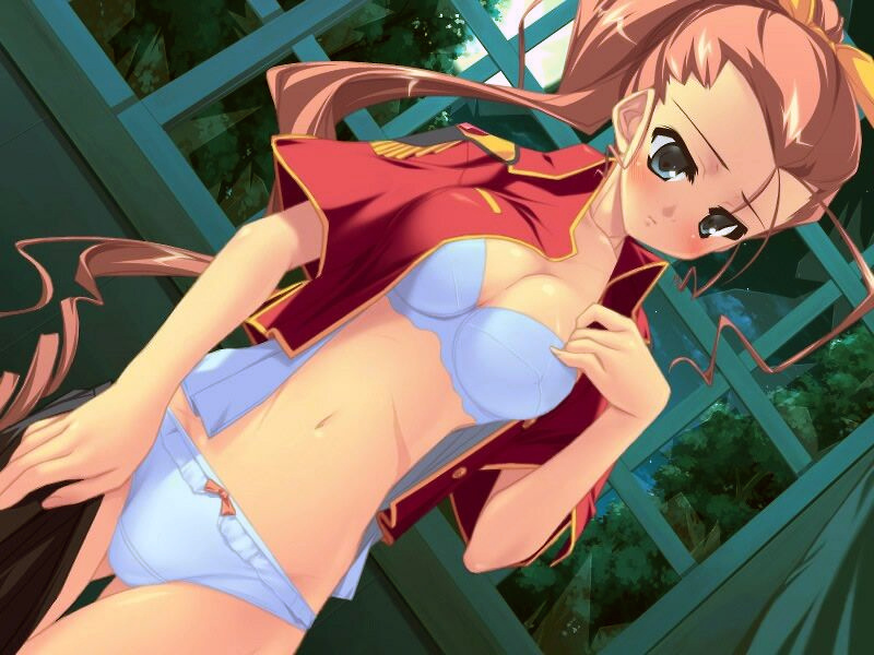 urotan, night wizard mahou taisen, non-web source, 1girl, blue eyes, bow, bow panties, bra, breasts, brown hair, cleavage, dutch angle, female focus, lingerie, long hair, panties, ponytail, solo, underwear, undressing, white panties