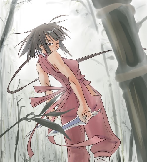 maru take, nagase kaede, mahou sensei negima!, md5 mismatch, 00s, 1girl, ahoge, baggy pants, bamboo, bamboo forest, clothing cutout, cowboy shot, dagger, dual wielding, female focus, forest, green hair, hair ribbon, hip vent, holding, knife, long hair, looking back, low ponytail, nature, ninja, one eye closed, pants, ponytail, ribbon, solo, weapon