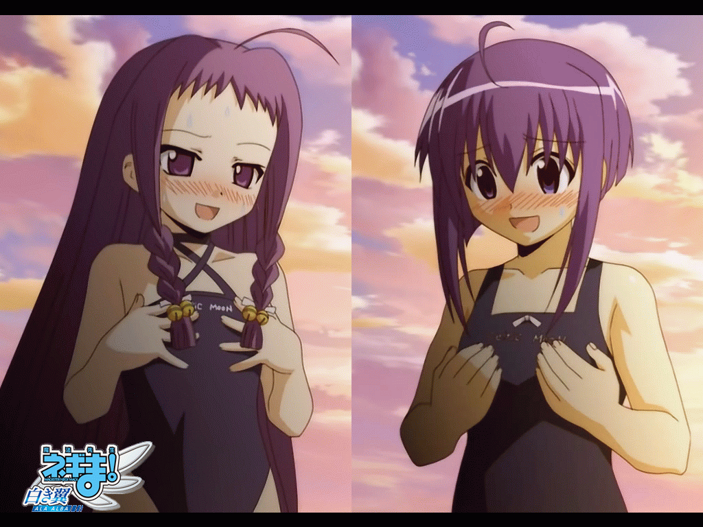 ayase yue, miyazaki nodoka, mahou sensei negima!, animated, animated gif, non-web source, 00s, 2girls, blush, bouncing breasts, breasts, flat chest, loli, long hair, multiple girls, one-piece swimsuit, purple hair, short hair, small breasts, sweatdrop, swimsuit
