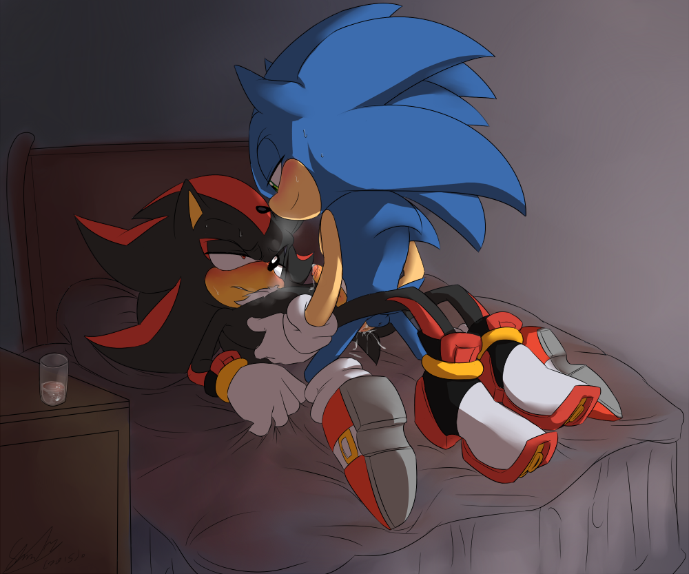 Rule34 – If it exists, there is porn of it / soina, shadow the hedgehog, sonic the hedgehog / 153744