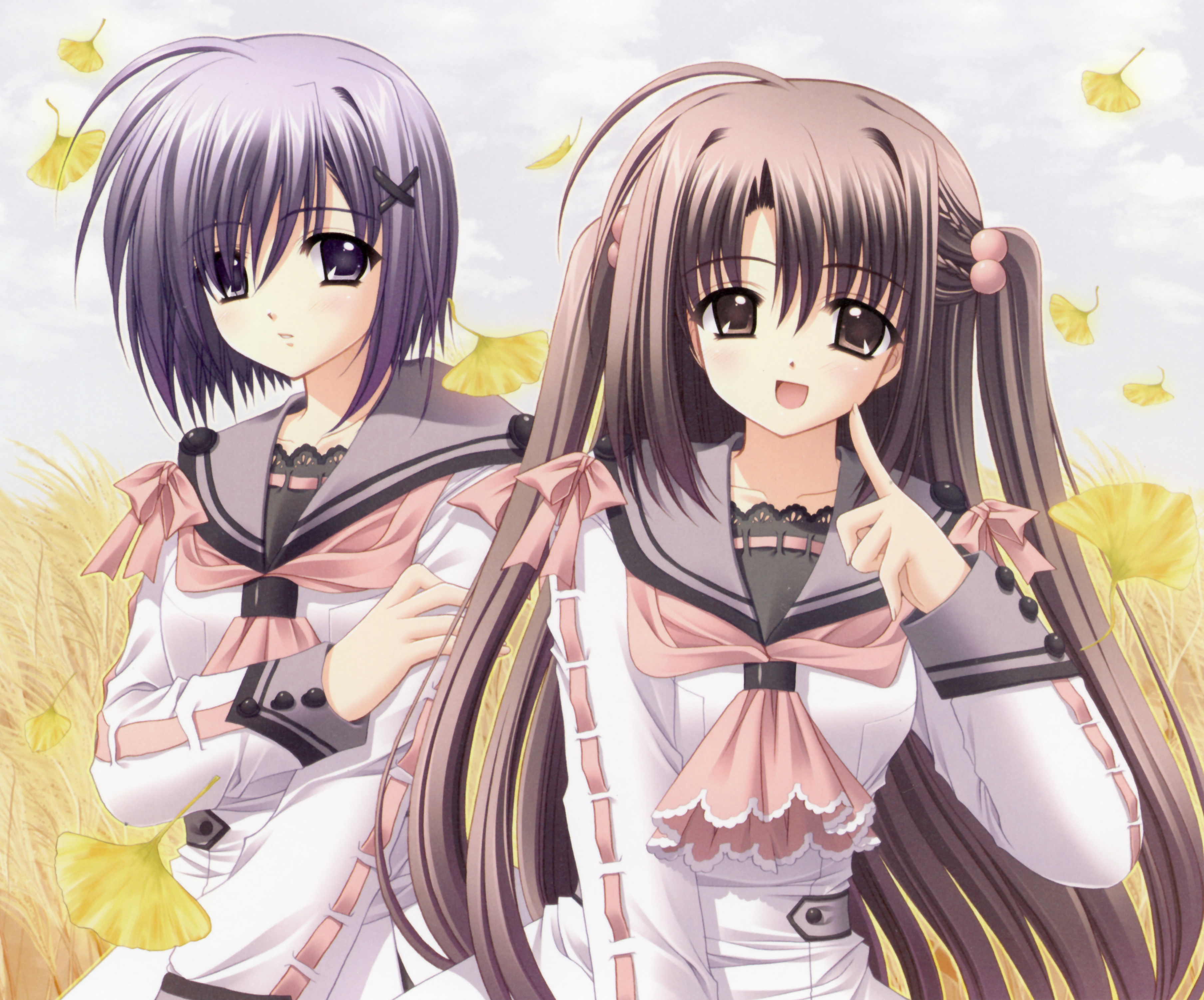 nishimata aoi, watarai asuka, yamashina miyako, oretachi ni tsubasa wa nai, absurdres, highres, ahoge, brown eyes, brown hair, grey eyes, grey hair, leaf, short hair, twintails