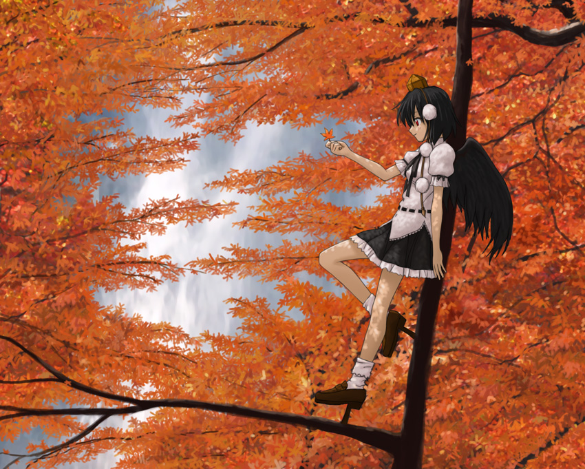 isozaki bebebe, shameimaru aya, touhou, looking away, bad id, bad pixiv id, 1girl, against tree, autumn, black hair, black wings, female focus, geta, hat, in tree, leaf, red eyes, short hair, smile, solo, tengu-geta, tokin hat, tree, wings