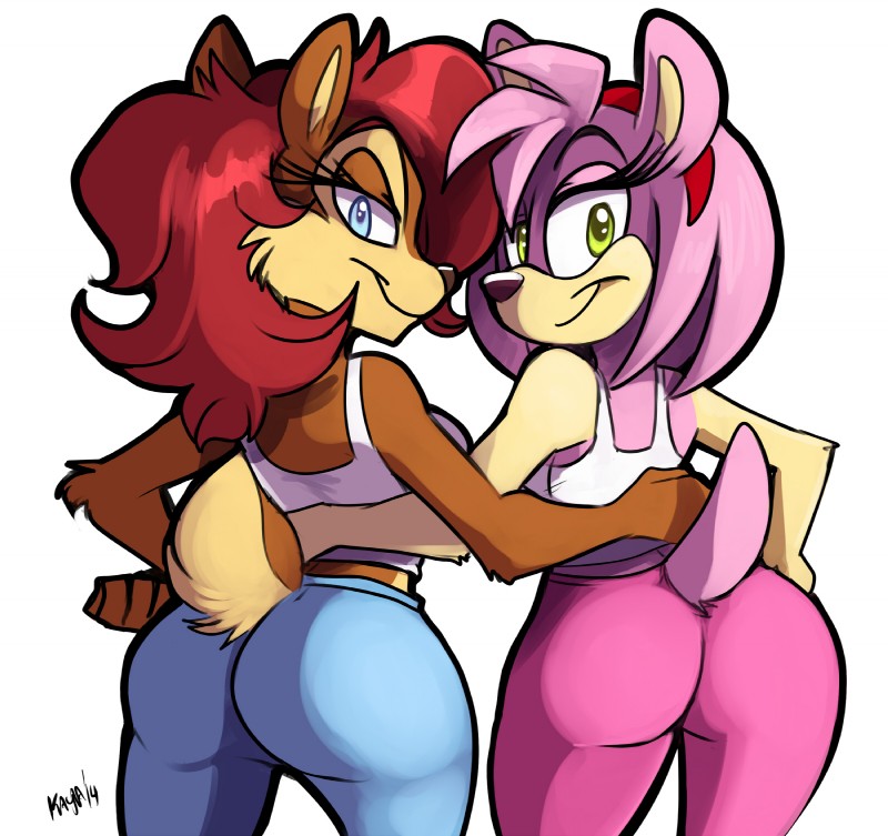 Rule34 – If it exists, there is porn of it / kayla-na, amy rose, sally acorn / 155421