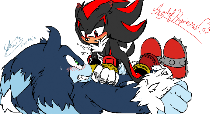 Rule34 – If it exists, there is porn of it / angelofhapiness, soina, shadow the hedgehog, sonic the hedgehog, sonic the werehog / 155618
