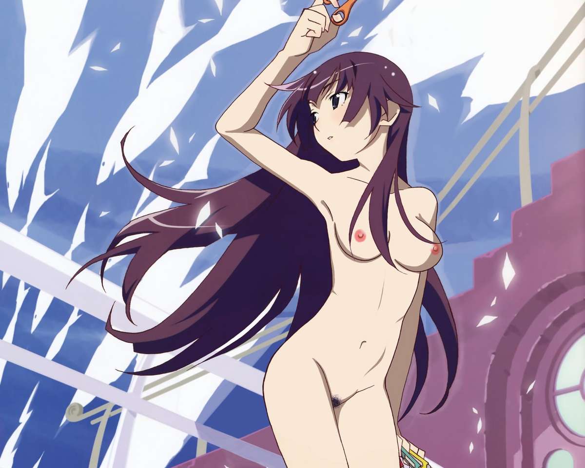 Rule34 – If it exists, there is porn of it / senjougahara hitagi / 156025