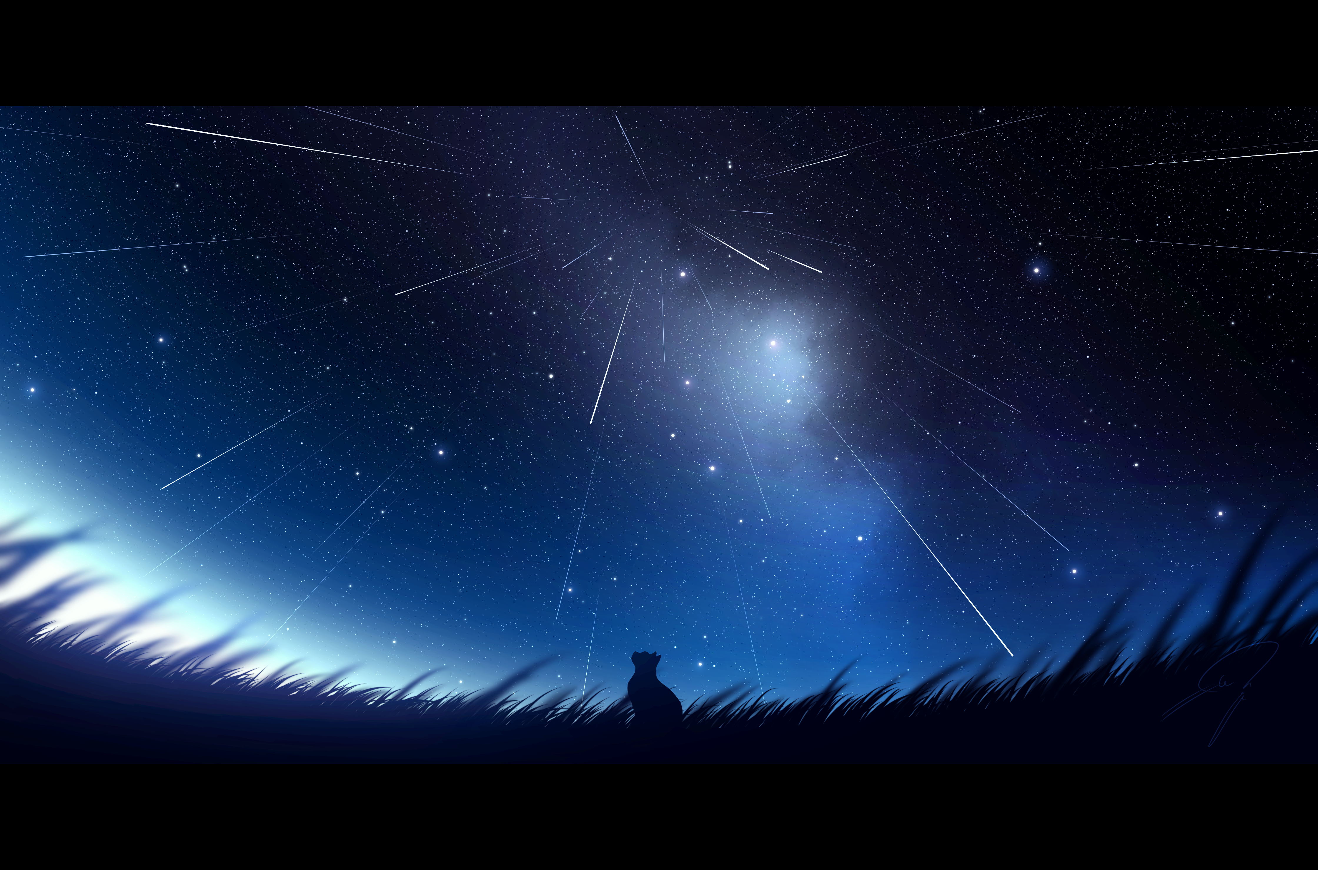 nengoro, original, absurdres, commentary request, highres, artist name, blurry, blurry foreground, cat, fisheye, letterboxed, meteor shower, night, night sky, no humans, outdoors, scenery, shooting star, sky, sky focus, star (sky), starry sky