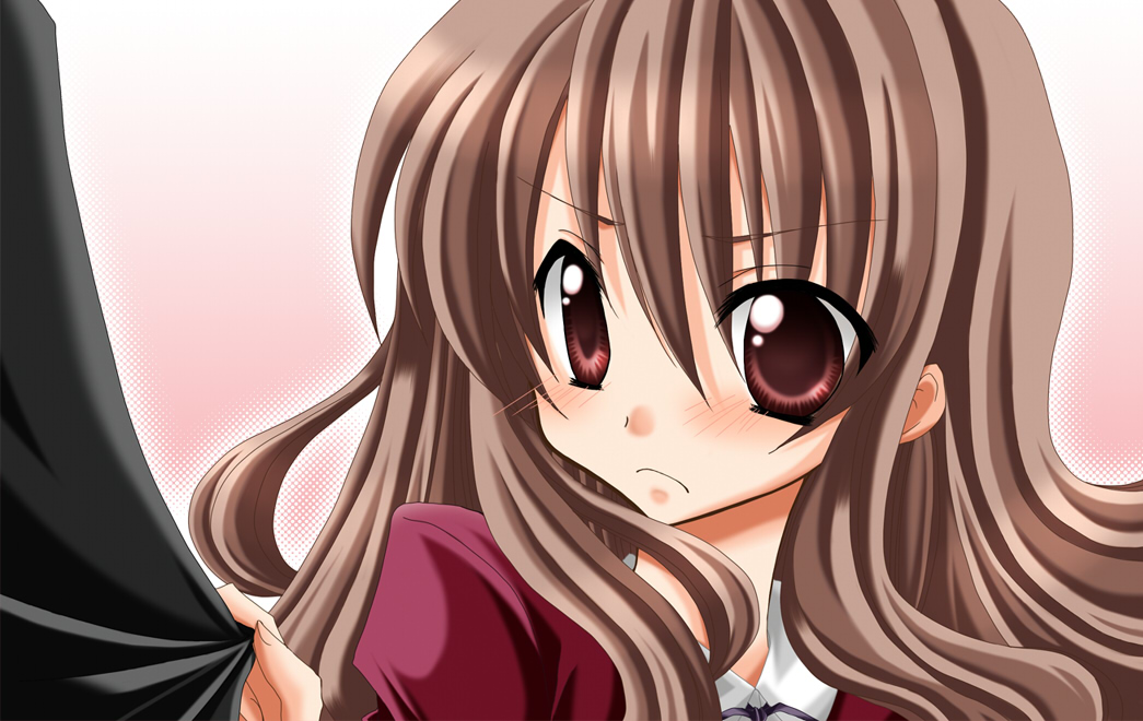 sakuraakane, aisaka taiga, toradora!, 00s, blush, brown hair, long hair, school uniform, solo, very long hair
