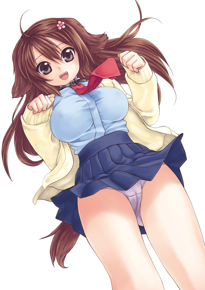 hikabe sakuho, original, 1girl, animal ears, breasts, brown hair, collar, dog ears, fangs, female focus, flower, hair flower, hair ornament, huge breasts, jacket, large breasts, long hair, long sleeves, necktie, open mouth, panties, pantyshot, purple panties, simple background, skirt, sleeves past wrists, smile, solo, tail, underwear, upskirt, wind, wind lift