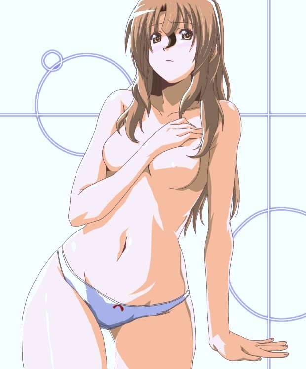 segawa haruna, maria (hayate no gotoku!), hayate no gotoku!, bad id, 00s, 1girl, bow, bow panties, breasts, brown hair, female focus, grey eyes, large breasts, long hair, navel, no nipples, panties, solo, topless female, underwear, white panties