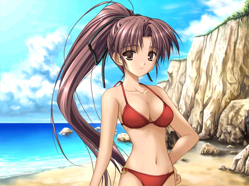 sakaki maki, saeki youko, to…, game cg, 1girl, beach, bikini, breasts, brown eyes, brown hair, cleavage, day, female focus, long hair, medium breasts, navel, o-ring, o-ring bottom, outdoors, ponytail, red bikini, rock, solo, swimsuit