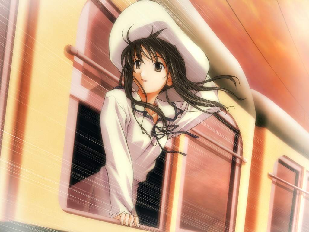 minami tsubame, memories off, memories off 2nd, 1girl, female focus, hat, solo, train, wind