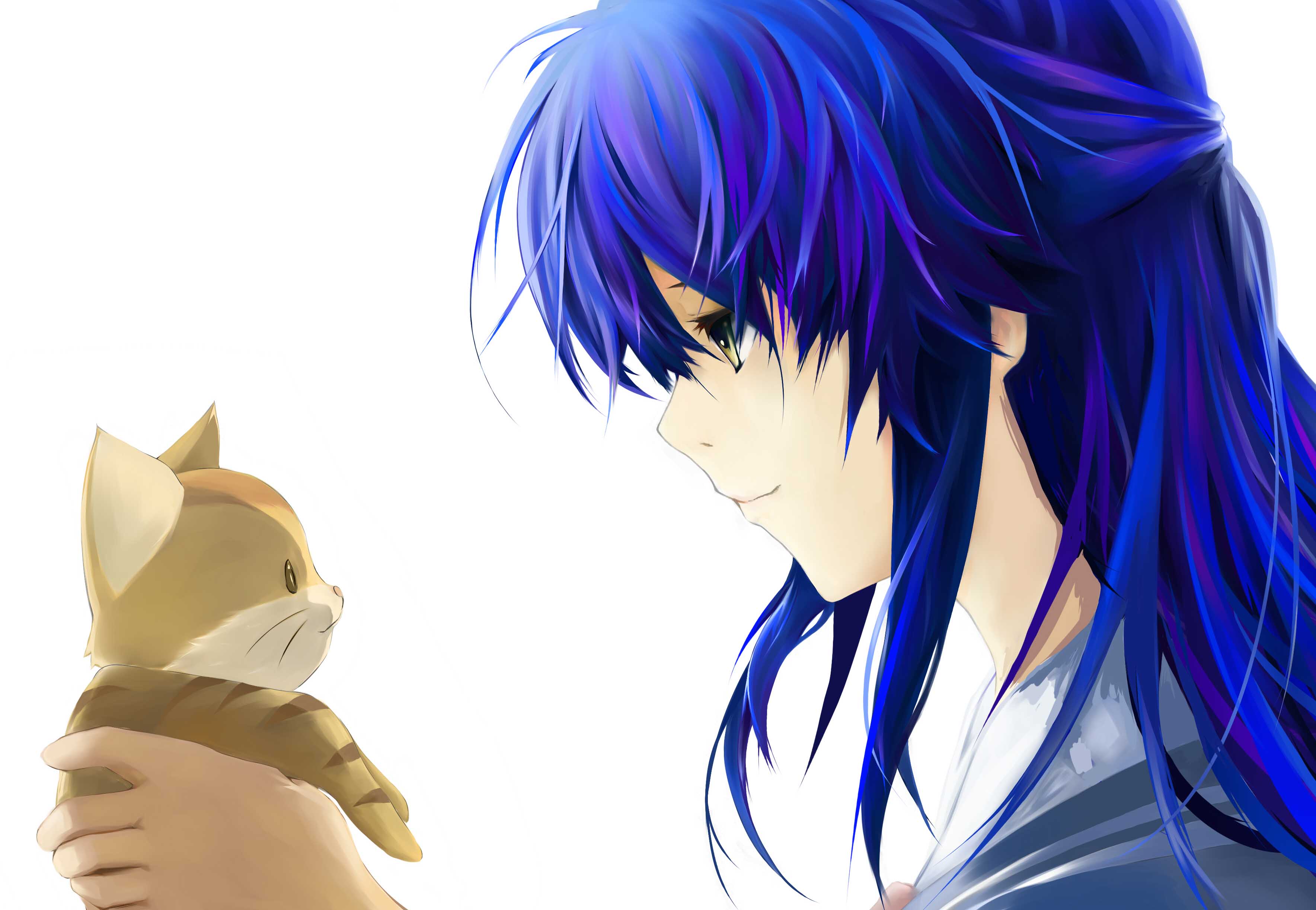 wolfour, sagara misae, clannad, absurdres, bad id, bad pixiv id, highres, 00s, blue hair, cat, long hair, school uniform, solo, yellow eyes