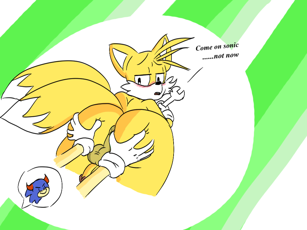 Rule34 – If it exists, there is porn of it / taillove (artist), sonic the hedgehog, tails / 159280