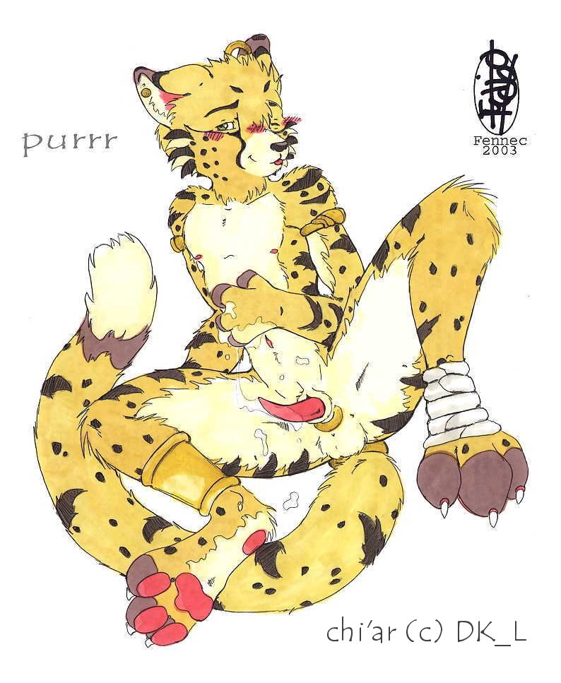Rule34 – If it exists, there is porn of it / fennec (artist) / 159351