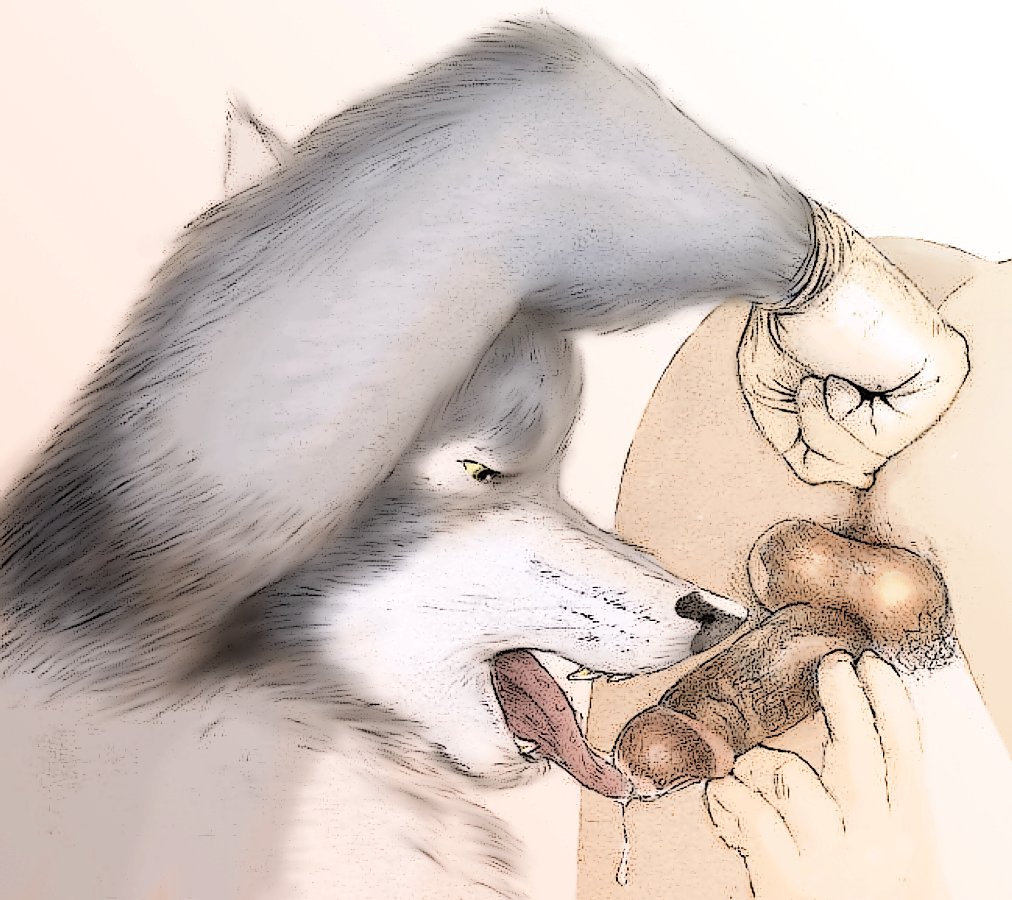 Rule34 – If it exists, there is porn of it / kinkycoyote / 159365