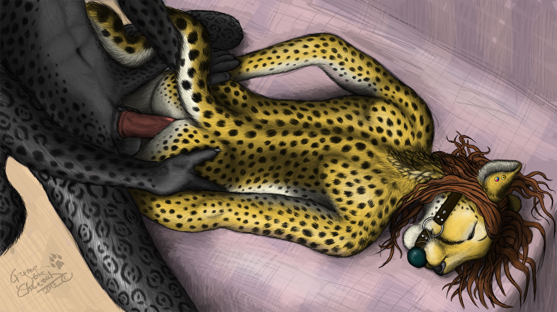 Rule34 – If it exists, there is porn of it / cryme the cheetah, fluffy panther, khraym / 159541