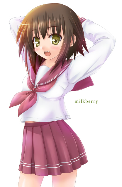 kisaragi miyu, kusakabe misao, lucky star, 00s, 1girl, brown hair, cowboy shot, female focus, school uniform, serafuku, short hair, solo, yellow eyes