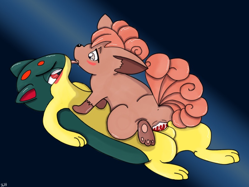 Rule34 – If it exists, there is porn of it / quilava, vulpix / 159632