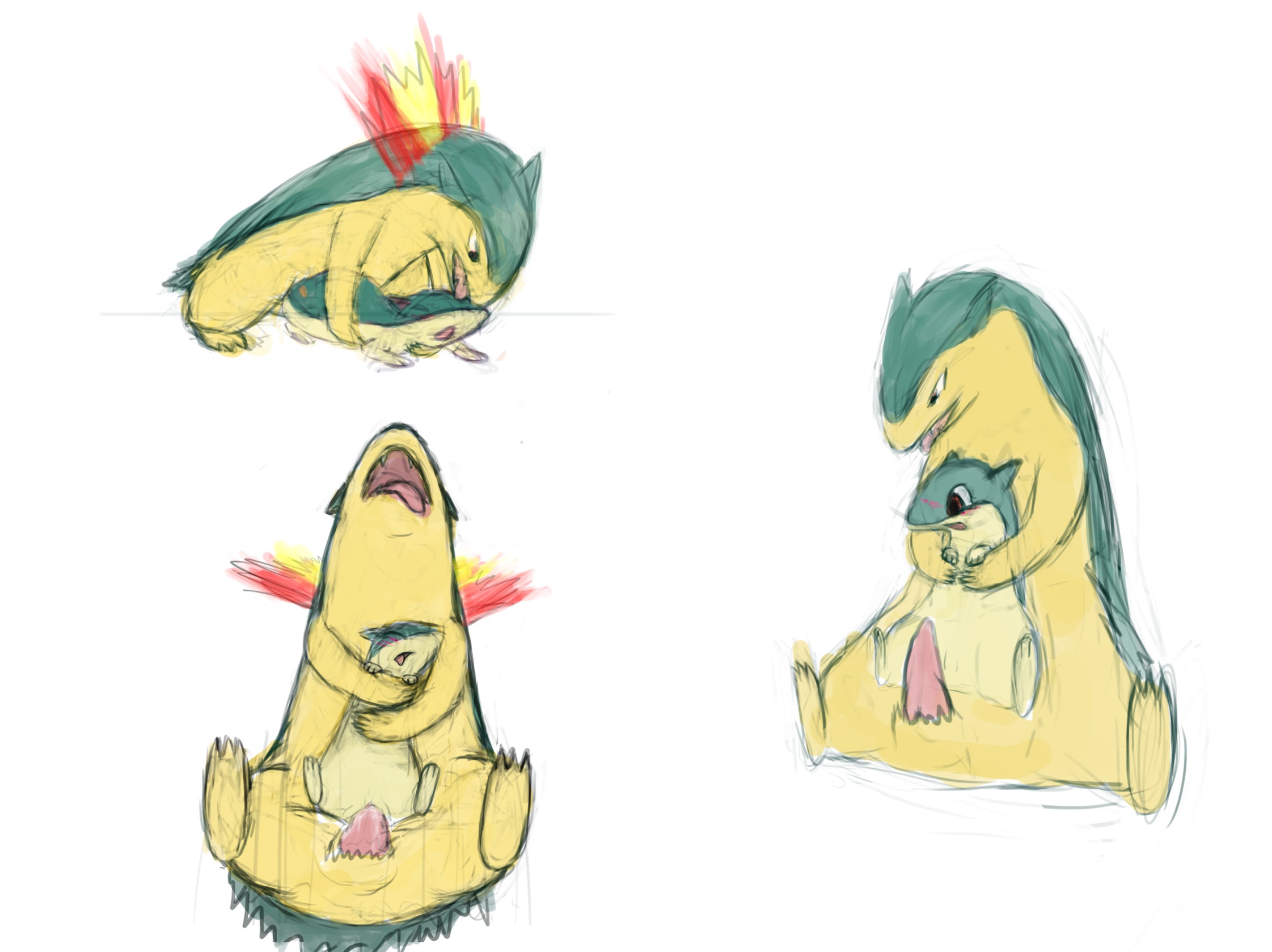 Rule34 – If it exists, there is porn of it / dancingchar, quilava, typhlosion / 159636