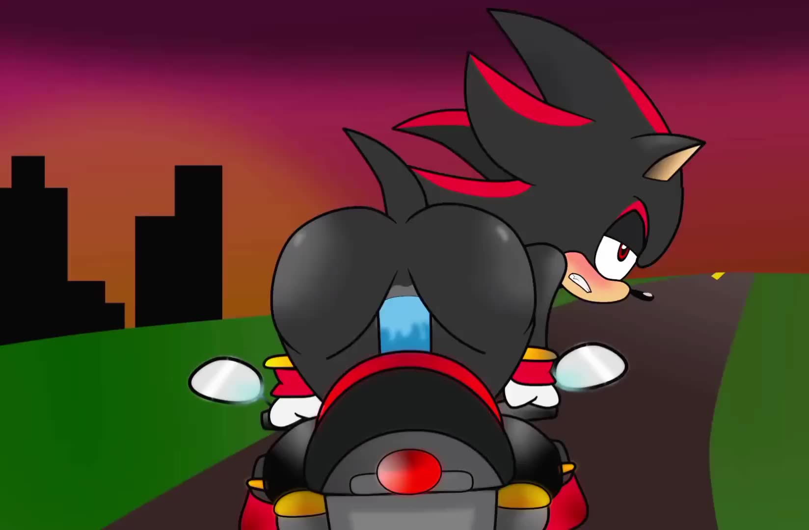 Rule34 – If it exists, there is porn of it / shadow the hedgehog / 8664860