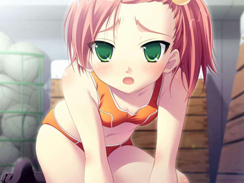 oohama akihito, mako barchet, sortieange mahou club, game cg, 1girl, :o, all fours, ball, bikini, black socks, blurry, blush, body blush, bra, breasts, depth of field, embarrassed, fangs, female focus, green eyes, gym storeroom, hair bobbles, hair ornament, indoors, kneehighs, kneeling, looking at viewer, navel, open mouth, orange bra, orange panties, panties, pink hair, red hair, short hair, side ponytail, small breasts, socks, solo, sports bra, swimsuit, underwear, underwear only, vaulting horse, volleyball, volleyball (object)