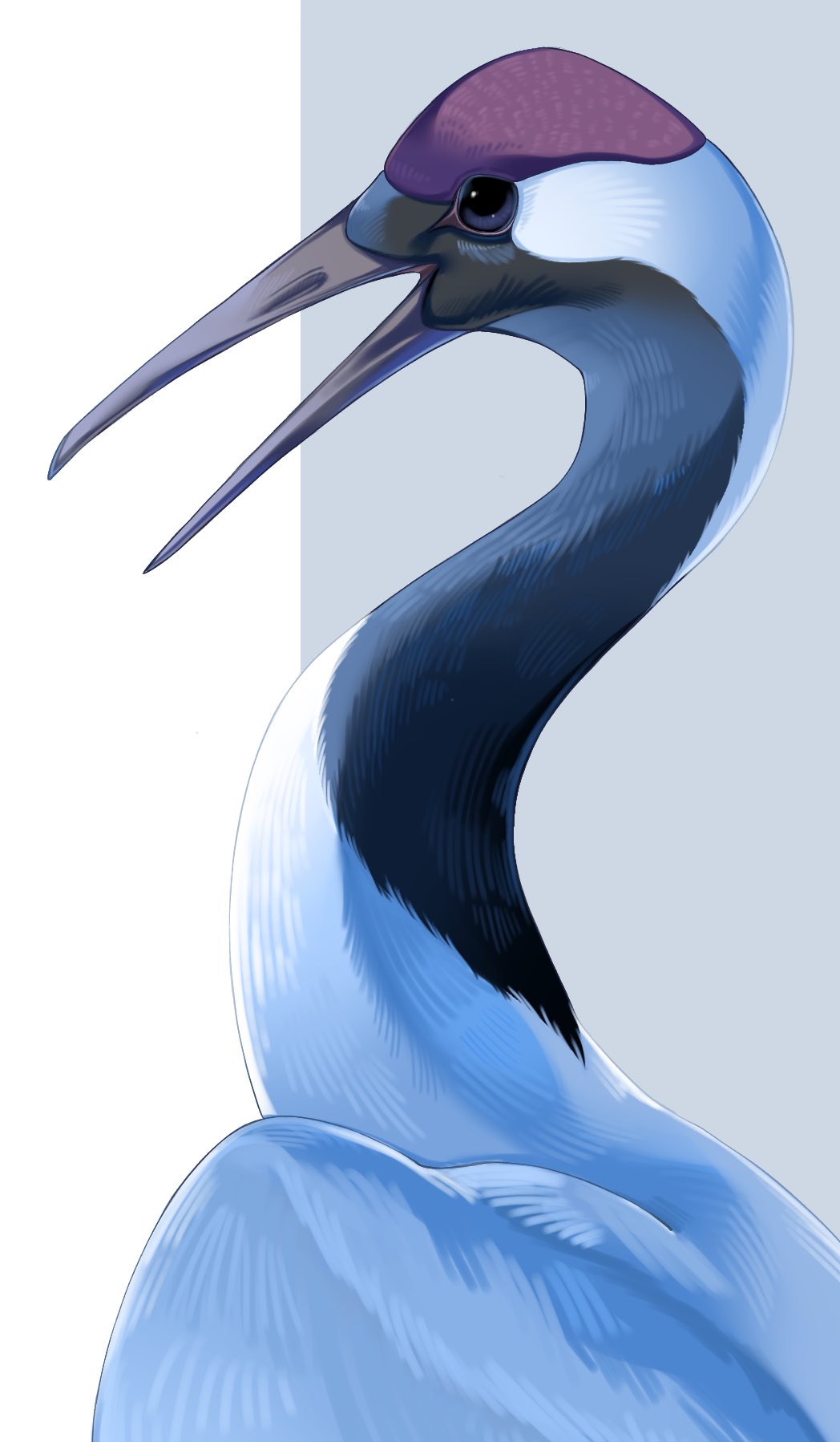 iwasi 29, original, highres, animal focus, beak, bird, crane (animal), feathers, no humans, open mouth, red-crowned crane, simple background, white feathers, wings