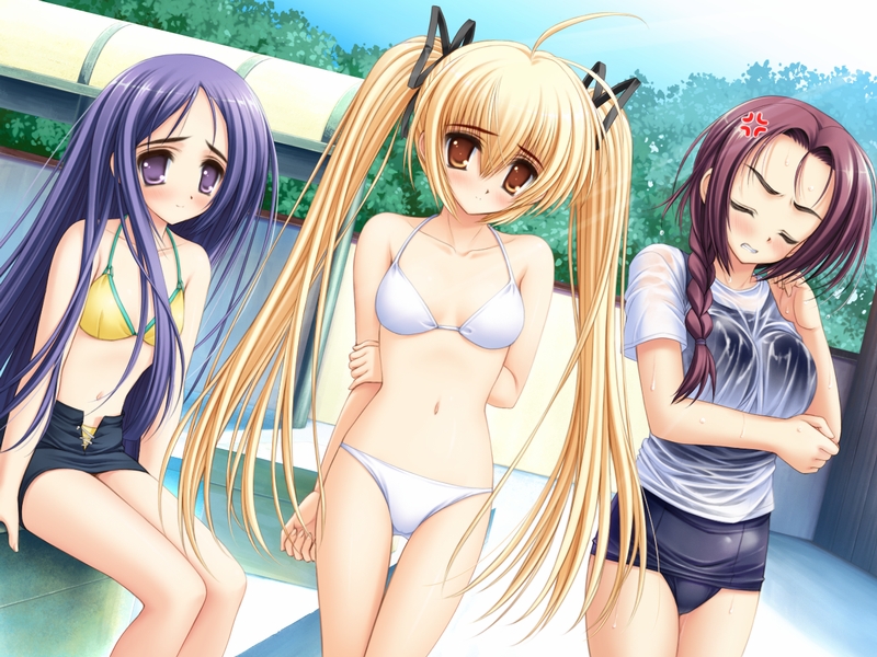 norita, ellen guydir, houami fumiko, yachikojima hana, utsurigi nanakoi tenkiame, game cg, non-web source, 3girls, anger vein, angry, bikini, bikini under clothes, blonde hair, blue hair, braid, brown eyes, brown hair, closed eyes, dutch angle, long hair, multiple girls, no pants, no shirt, one-piece swimsuit, purple eyes, school swimsuit, see-through clothes, shirt, string bikini, swimsuit, swimsuit under clothes, twintails, wet, wet clothes, wet shirt