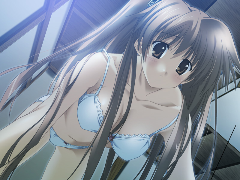 goma satoshi, yajima kasumi, oshiete miko sensei, game cg, non-web source, 1girl, all fours, blush, bra, brown eyes, brown hair, female focus, lingerie, long hair, panties, solo, twintails, underwear, underwear only