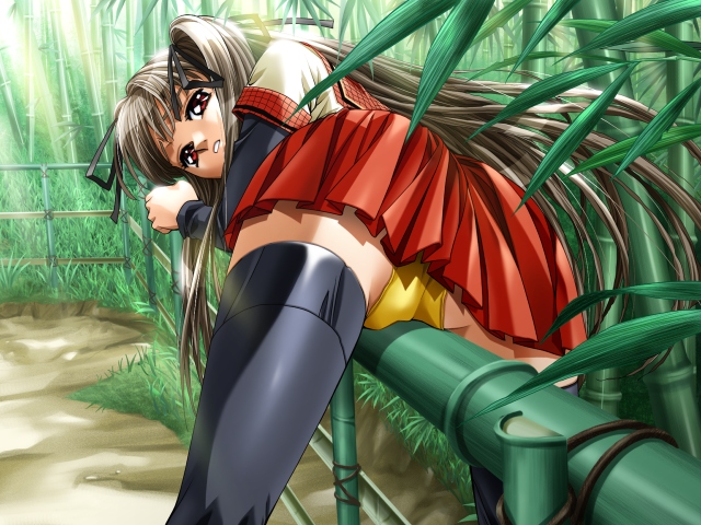 takei masaki, sannouji urara, jokei kazoku, game cg, 00s, 1girl, bamboo, bamboo fence, bamboo forest, black thighhighs, brown eyes, brown hair, cameltoe, crotch rub, female focus, female masturbation, fence, forest, grinding, kneepits, masturbation, masturbation through clothes, miniskirt, nature, panties, pantyshot, ribbon, school uniform, serafuku, skirt, solo, thighhighs, thighs, twintails, underwear, upskirt, yellow panties, zettai ryouiki