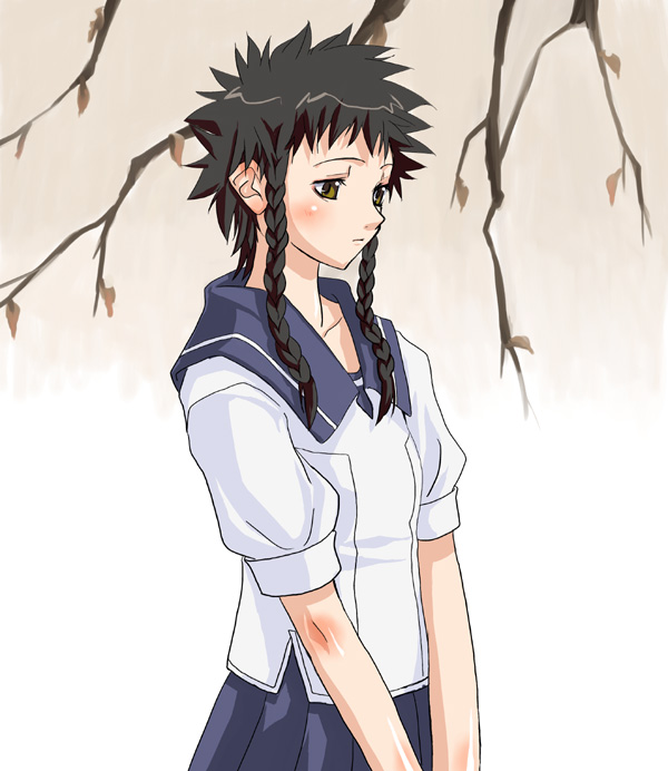 kabocha, kabocha (monkey4), minagi mikoto, my-hime, my-otome, 00s, 1girl, black hair, blush, braid, brown eyes, female focus, flat chest, sad, school uniform, serafuku, solo, twin braids