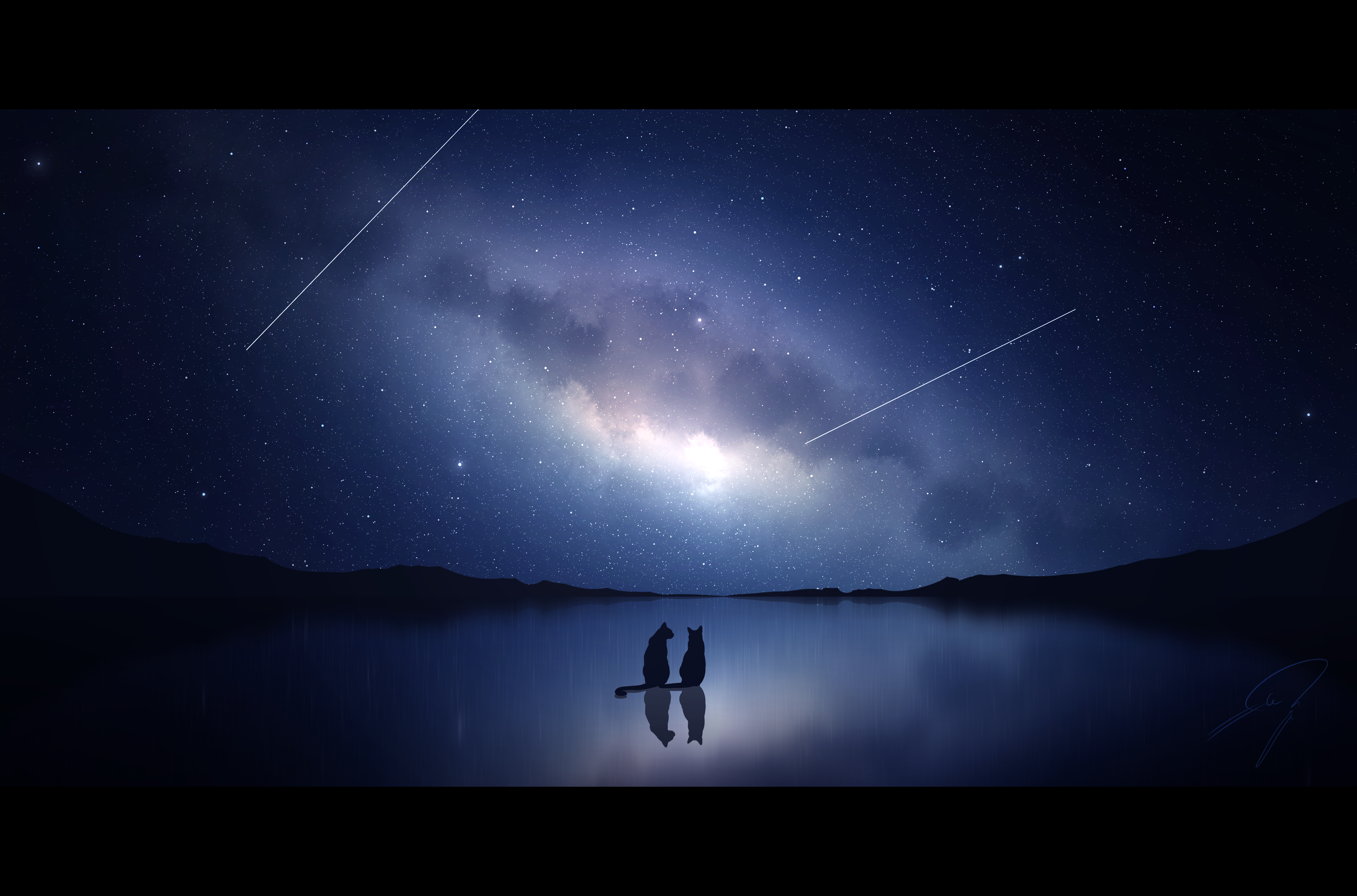 nengoro, original, absurdres, commentary request, highres, cat, horizon, letterboxed, milky way, night, night sky, no humans, outdoors, reflection, reflective surface, scenery, shooting star, signature, silhouette, sky, sky focus, star (sky), starry sky