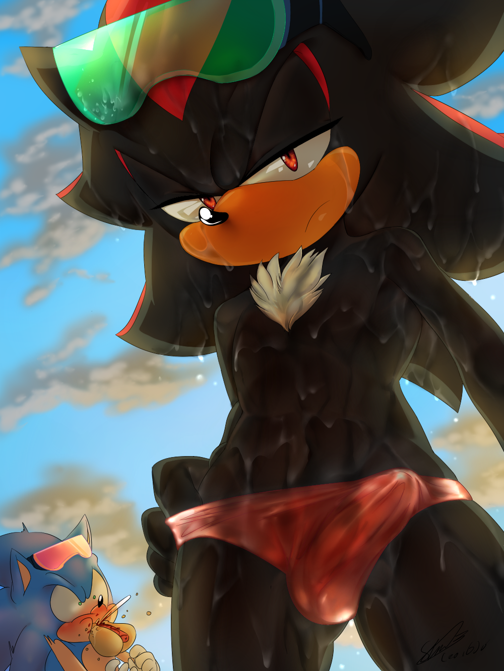 Rule34 – If it exists, there is porn of it / soina, shadow the hedgehog, sonic the hedgehog / 161453