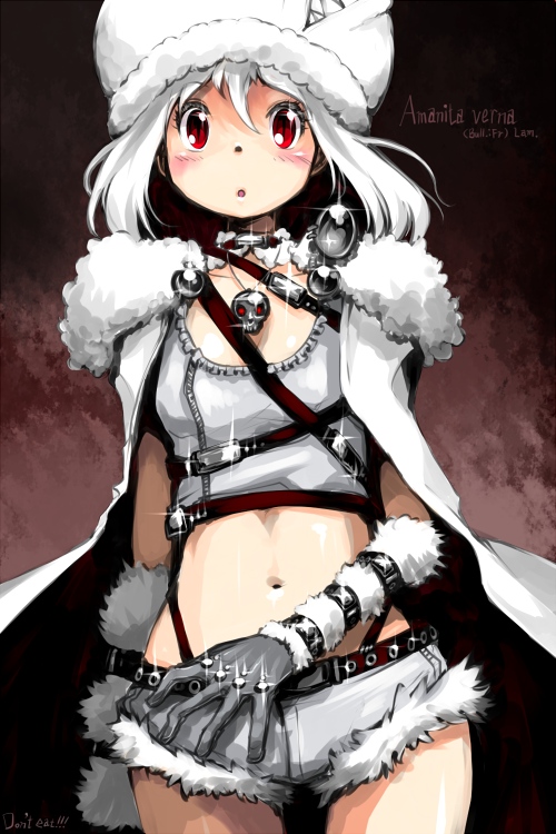 oso (toolate), amanita verna, original, oso-teki kinoko gijinka zukan, 1girl, albino, belt, cape, elbow gloves, female focus, gloves, hat, jewelry, midriff, mushroom, necklace, personification, red eyes, short hair, shorts, skull, solo, white hair