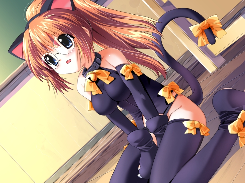 animal ears, blush, floor, glasses, sitting, tail