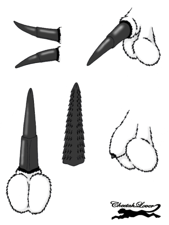 Rule34 – If it exists, there is porn of it / cheetahlover / 162430