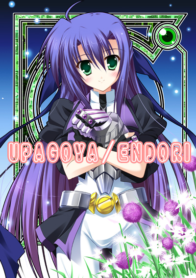 endori, ginga nakajima, revolver knuckle, lyrical nanoha, mahou shoujo lyrical nanoha, mahou shoujo lyrical nanoha strikers, 00s, blush, fingerless gloves, gauntlets, gloves, green eyes, long hair, purple hair, smile, solo
