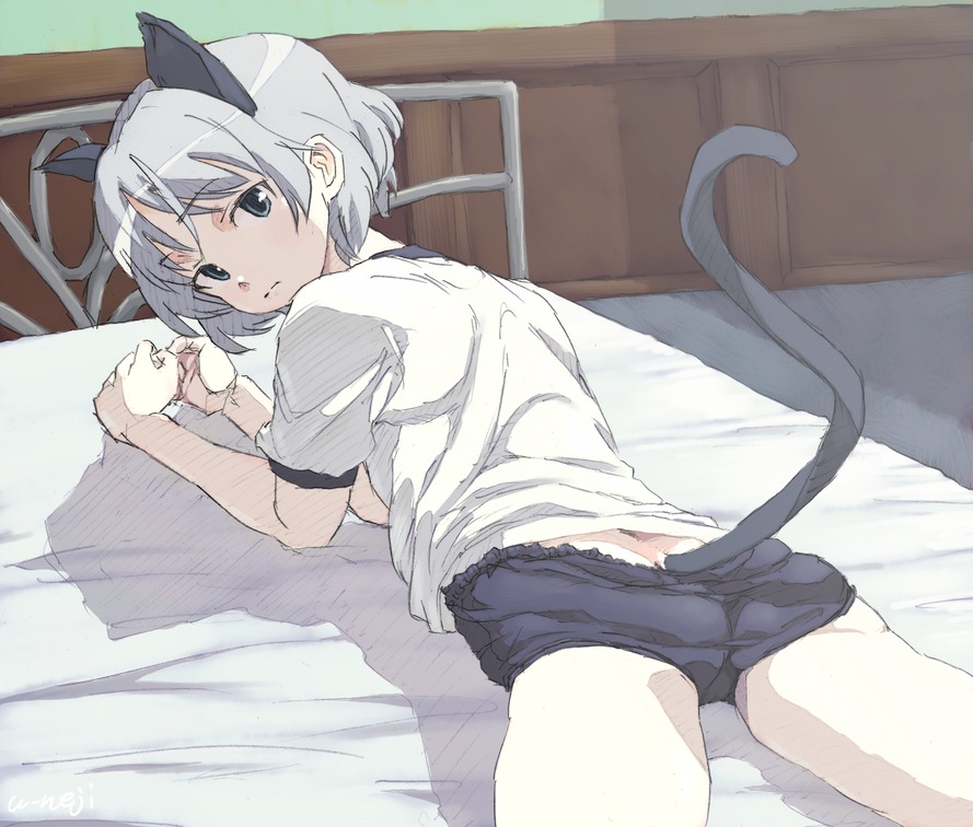 negoro shuujirou, sanya v. litvyak, strike witches, world witches series, silver hair, 00s, 1girl, animal ears, bed, buruma, cat ears, cat tail, female focus, gym uniform, looking back, lying, on stomach, short hair, solo, tail, underwear