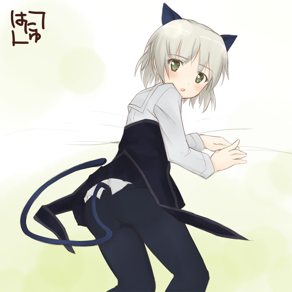 sanya v. litvyak, hanyu, strike witches, world witches series, silver hair, 00s, 1girl, animal ears, ass, bed, black pantyhose, blush, cat ears, cat girl, cat tail, female focus, from behind, gradient background, green eyes, looking back, lying, on side, pantyhose, short hair, signature, solo, tail