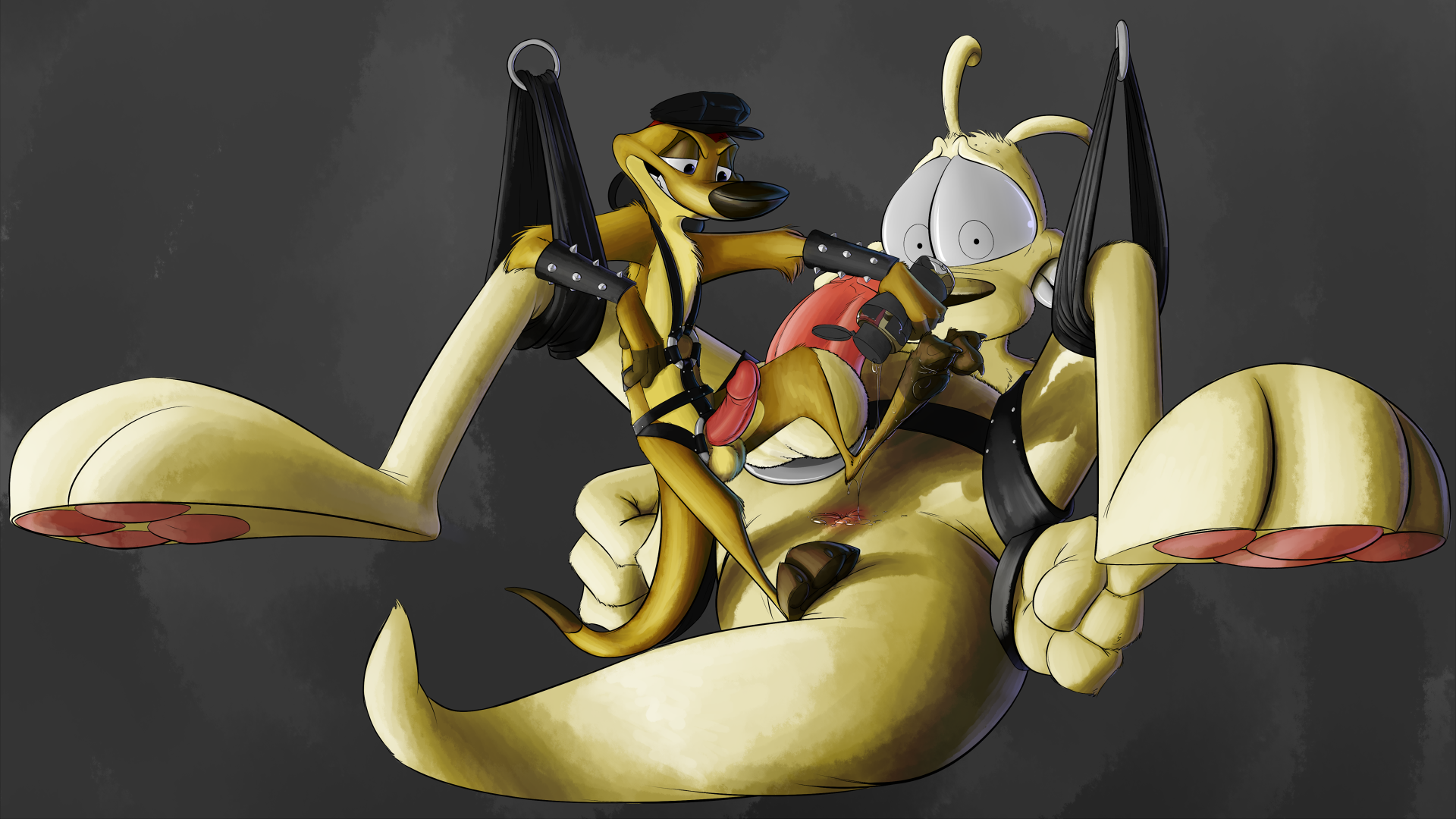 Rule34 – If it exists, there is porn of it / weaselgrease, rocko, timon / 163594