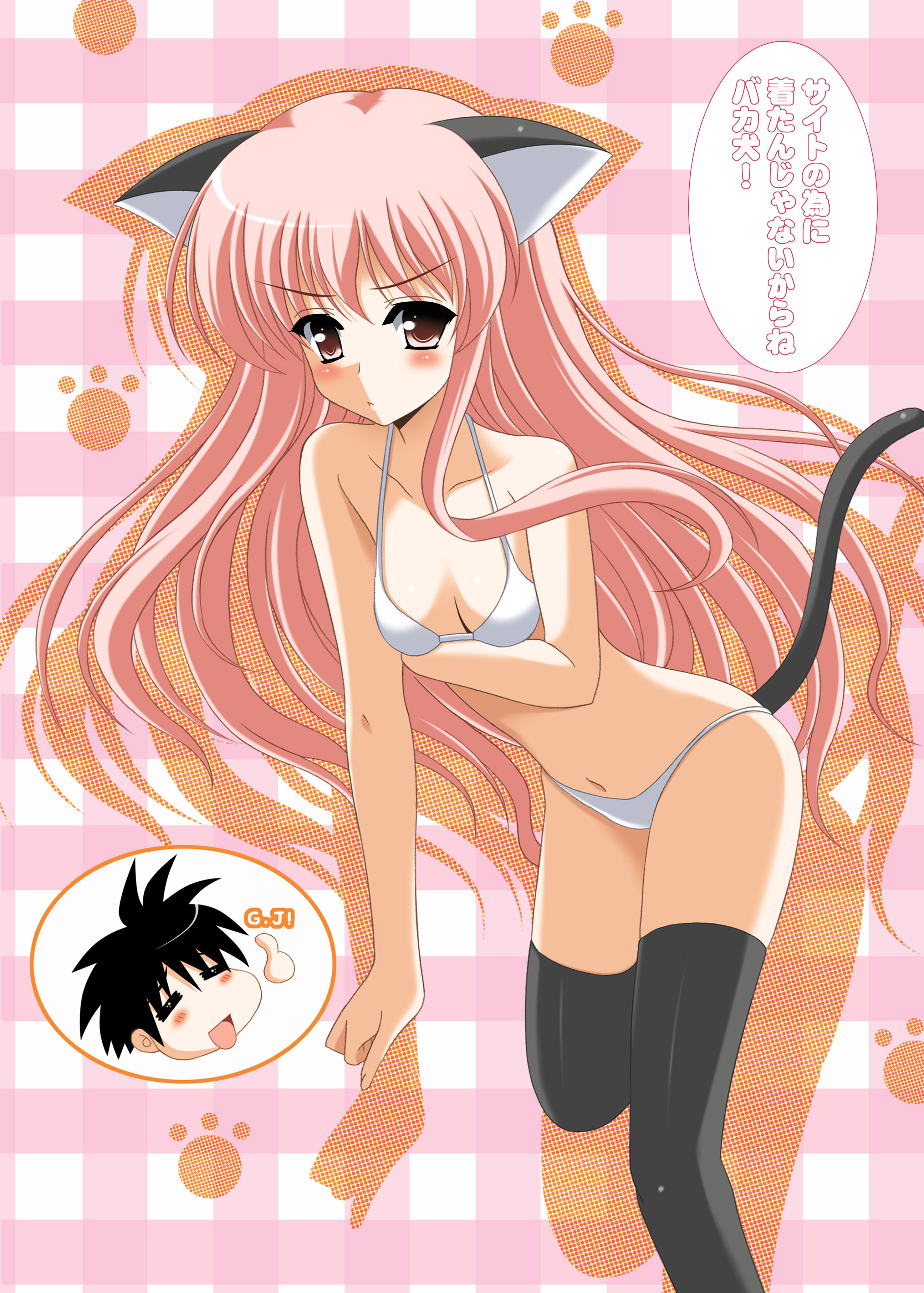 oda ken'ichi, louise francoise le blanc de la valliere, zero no tsukaima, absurdres, highres, translation request, 00s, 1girl, animal ears, bra, breasts, cat ears, cat tail, female focus, lingerie, long hair, medium breasts, panties, pink eyes, pink hair, solo, tail, thighhighs, underwear, underwear only