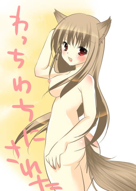 nanaroba hana, holo, spice and wolf, 00s, 1girl, animal ears, ass, breasts, brown hair, female focus, medium breasts, nipples, nude, red eyes, solo, tail, wolf ears, wolf tail