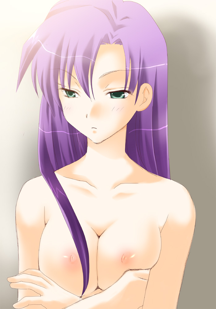 harapeko, faris scherwiz, final fantasy, final fantasy v, 1990s (style), 1girl, breasts, breasts squeezed together, cleavage, crossed arms, female focus, gradient background, green eyes, large breasts, long hair, nipples, purple hair, retro artstyle, solo, topless female