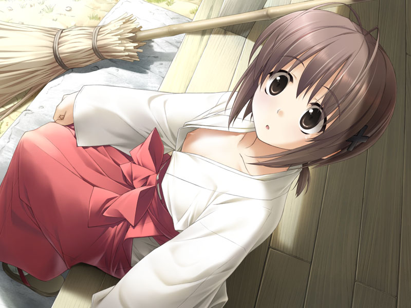 hashimoto takashi, amatsume akira, yosuga no sora, game cg, 1girl, breasts, broom, brown eyes, brown hair, collarbone, downblouse, dutch angle, female focus, hair ornament, hairclip, hakama, hakama skirt, japanese clothes, miko, nipple slip, nipples, no bra, ponytail, red hakama, short hair, shrine, skirt, small breasts, solo, surprised, temple, wide-eyed, yosoganosora
