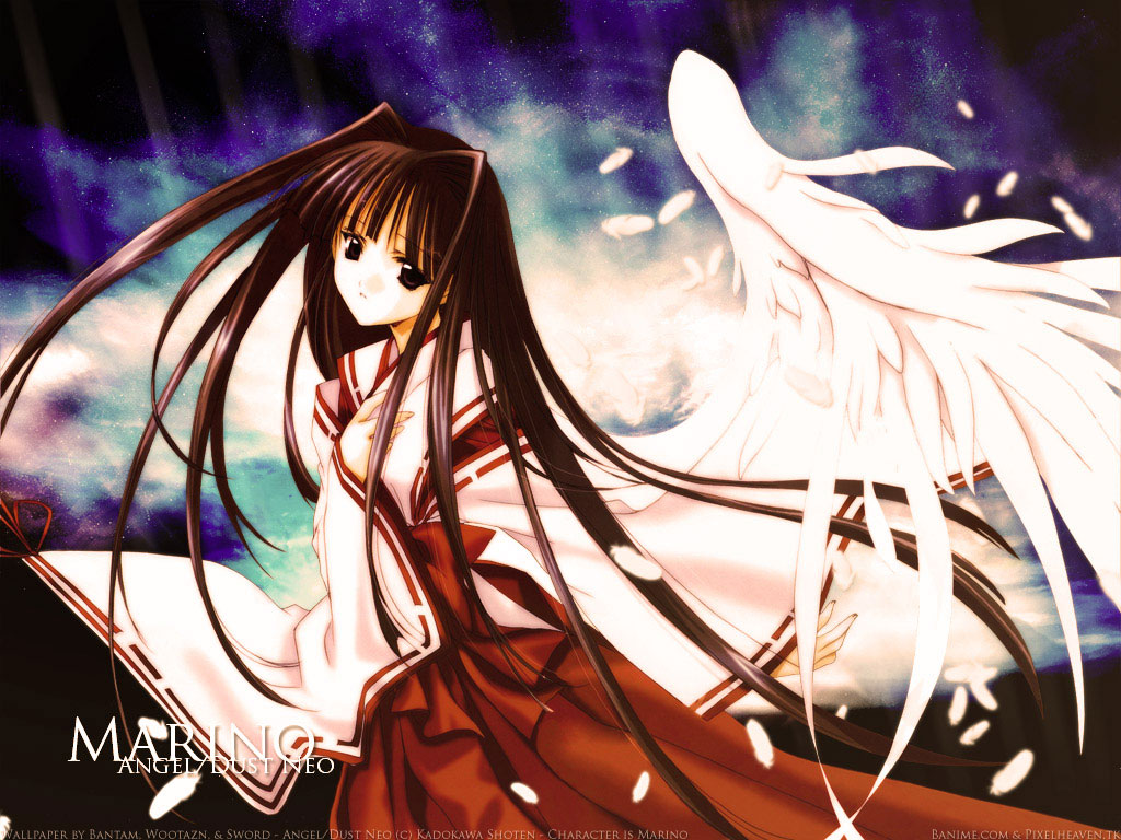 nanase aoi, kirashima marino, angel/dust neo, angel dust neo, 1girl, angel wings, black eyes, black hair, brown hair, female focus, hakama, hakama skirt, japanese clothes, karashima marino, long hair, miko, red hakama, skirt, solo, wings