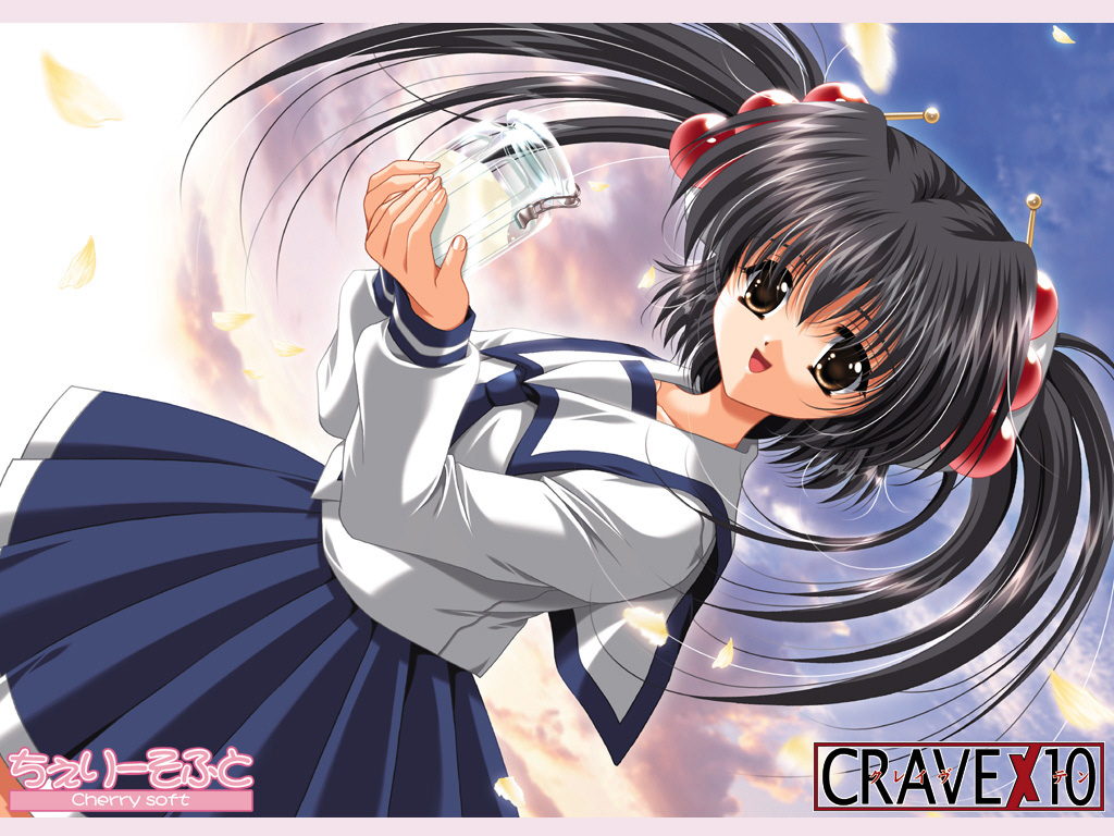 akira (usausa), cherry soft, crave x 10, non-web source, 1girl, antennae, black hair, brown eyes, cloud, copyright name, dress, dutch angle, feathers, female focus, jar, long hair, open mouth, skirt, smile, solo, twintails
