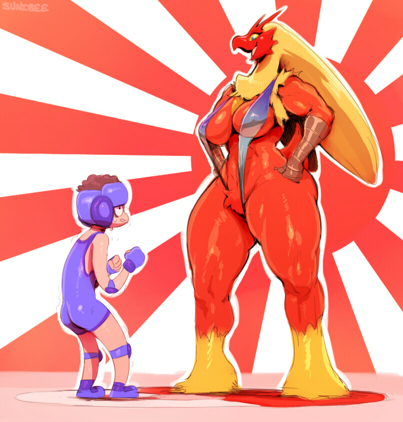 Rule34 – If it exists, there is porn of it / sunibee, blaziken / 165018