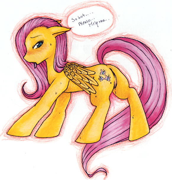Rule34 – If it exists, there is porn of it / rainbowshaven, fluttershy (mlp) / 165196