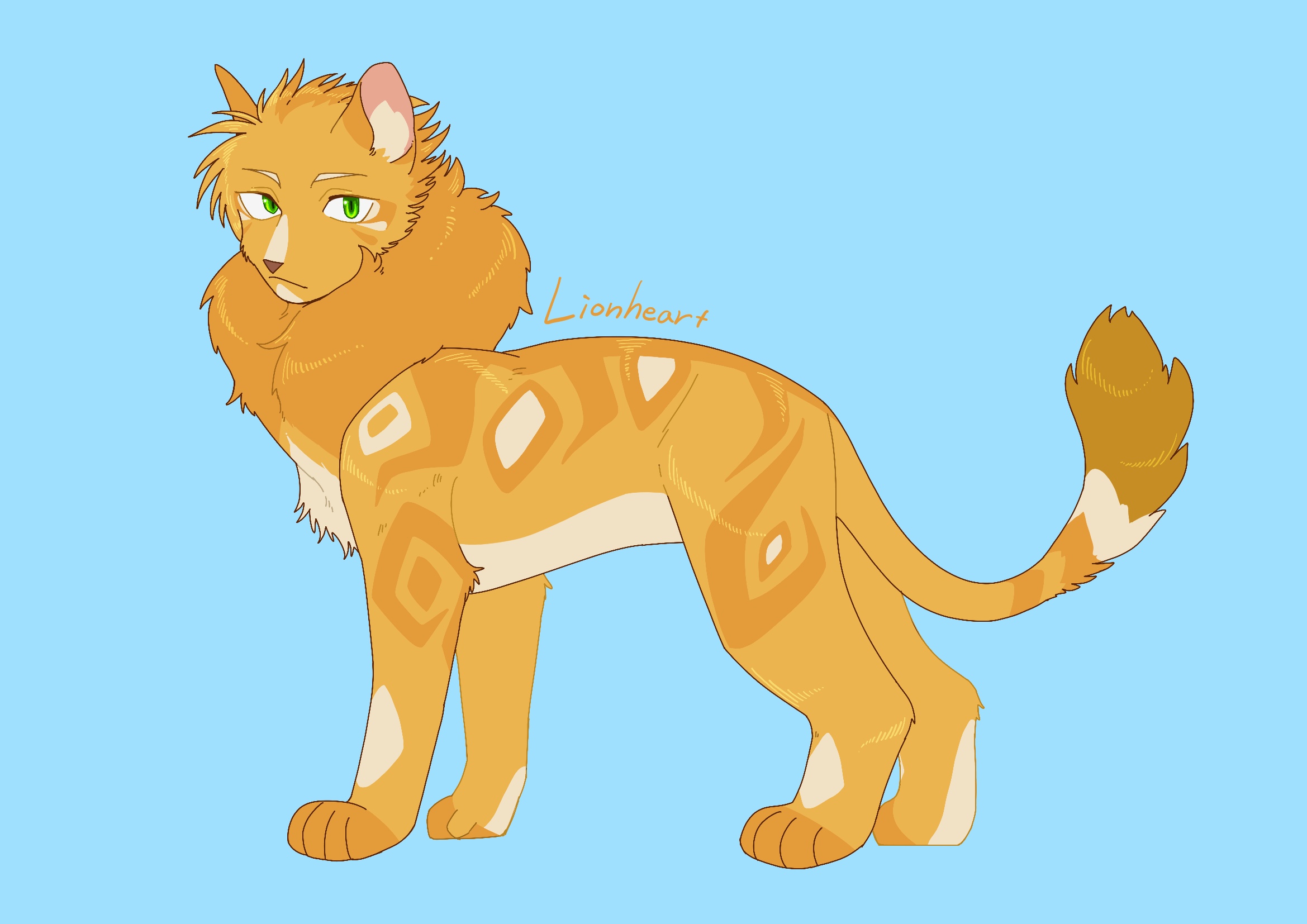 neko gokoro, the prophecies begin, warrior cats, commentary request, highres, redrawn, animal, animal focus, blue background, cat, character name, fluffy, full body, green eyes, lionheart (warrior cats), looking at viewer, no humans, simple background, solo, yellow cat